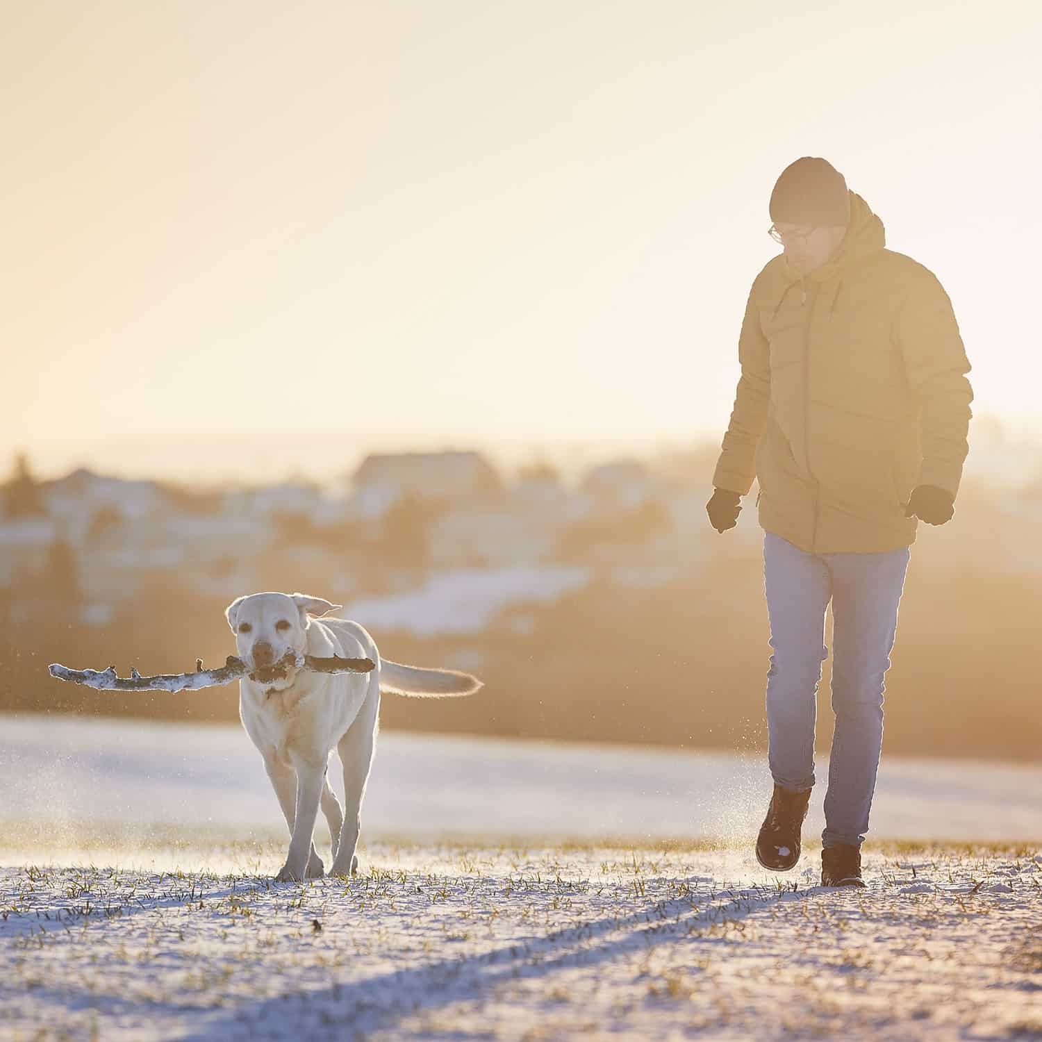 man-with-dog-during-walk-in-winter-morning-2023-11-27-04-59-25-utc